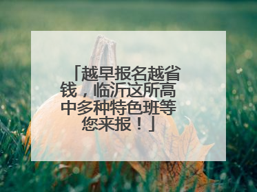 越早报名越省钱，临沂这所高中多种特色班等您来报！