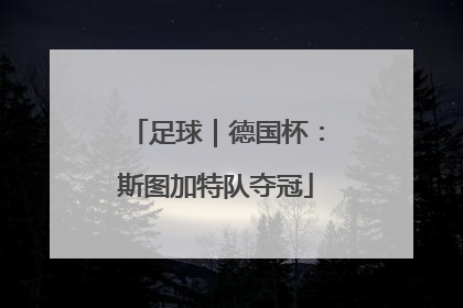 足球｜德国杯：斯图加特队夺冠
