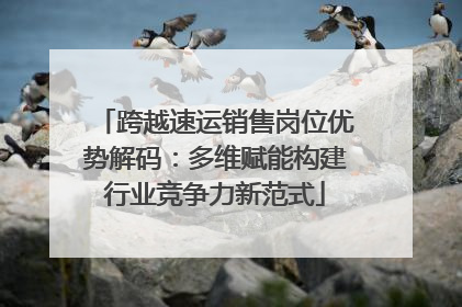 跨越速运销售岗位优势解码：多维赋能构建行业竞争力新范式