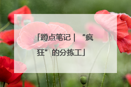 蹲点笔记｜“疯狂”的分拣工