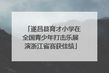 遂昌县育才小学在全国青少年打击乐展演浙江省赛获佳绩