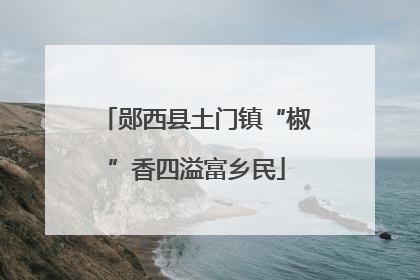 郧西县土门镇“椒”香四溢富乡民