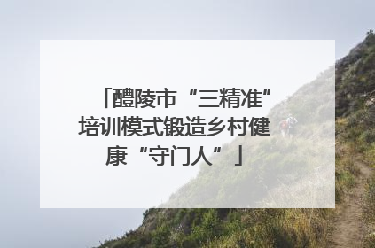 醴陵市“三精准”培训模式锻造乡村健康“守门人”