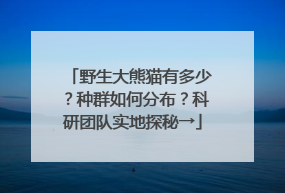 野生大熊猫有多少？种群如何分布？科研团队实地探秘→