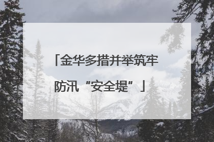 金华多措并举筑牢防汛“安全堤”