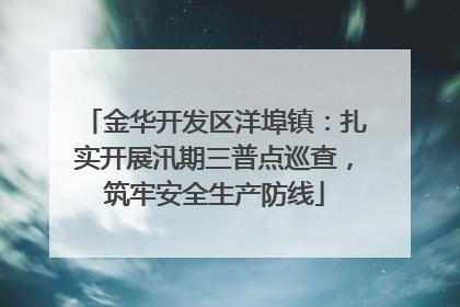 金华开发区洋埠镇：扎实开展汛期三普点巡查，筑牢安全生产防线