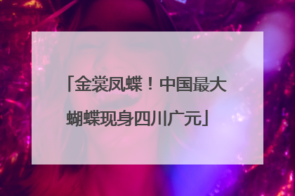 金裳凤蝶！中国最大蝴蝶现身四川广元