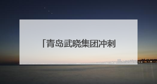 青岛武晓集团冲刺新三板！近两年营收均超20亿元