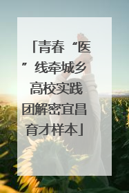 青春“医”线牵城乡 高校实践团解密宜昌育才样本