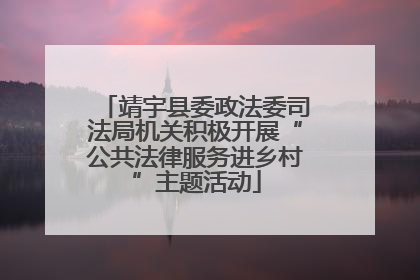 靖宇县委政法委司法局机关积极开展“公共法律服务进乡村”主题活动