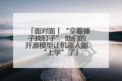 面对面丨“拿着锤子找钉子” 他们的开源模型让机器人能“上学”了