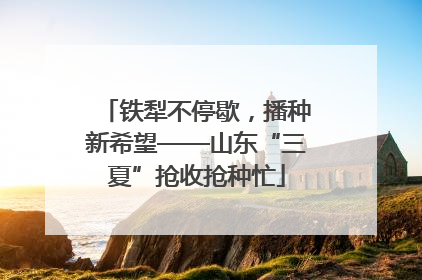 铁犁不停歇，播种新希望——山东“三夏”抢收抢种忙