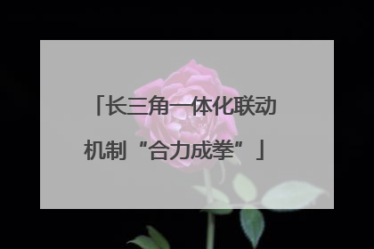 长三角一体化联动机制“合力成拳”