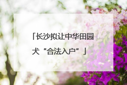 长沙拟让中华田园犬“合法入户”