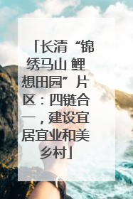 长清“锦绣马山 鲤想田园”片区：四链合一，建设宜居宜业和美乡村