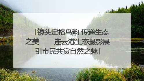 镜头定格鸟韵 传递生态之美——连云港生态摄影展引市民共赏自然之魅