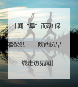 闻“旱”而动 保灌保供——陕西抗旱一线走访见闻