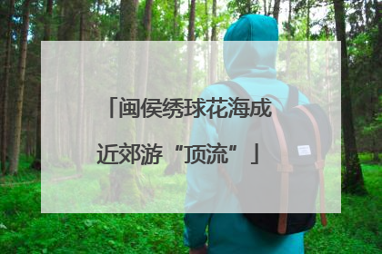 闽侯绣球花海成近郊游“顶流”