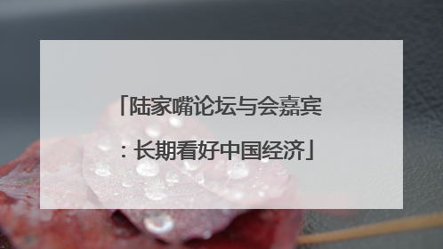 陆家嘴论坛与会嘉宾：长期看好中国经济