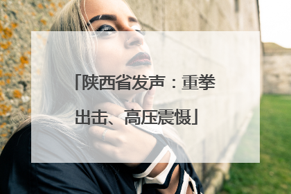 陕西省发声：重拳出击、高压震慑
