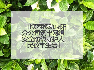 陕西移动咸阳分公司筑牢网络安全防线守护人民数字生活