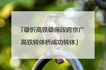 雄忻高铁雄保段跨京广高铁转体桥成功转体