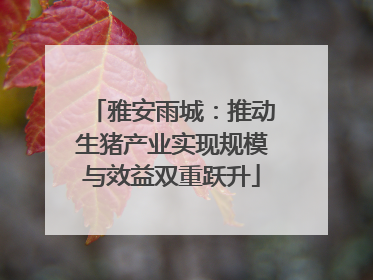 雅安雨城：推动生猪产业实现规模与效益双重跃升