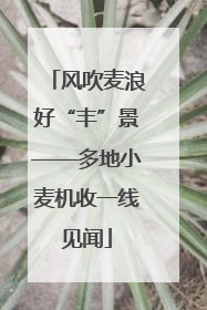 风吹麦浪好“丰”景——多地小麦机收一线见闻