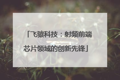 飞骧科技：射频前端芯片领域的创新先锋