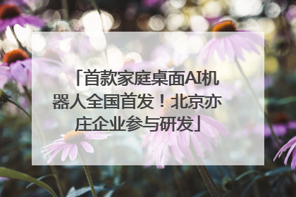 首款家庭桌面AI机器人全国首发！北京亦庄企业参与研发