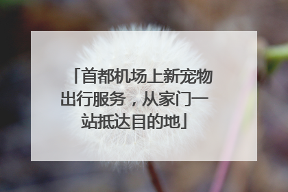 首都机场上新宠物出行服务，从家门一站抵达目的地