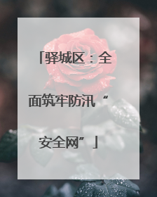 驿城区：全面筑牢防汛“安全网”