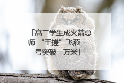高二学生成火箭总师 “手搓”飞燕一号突破一万米