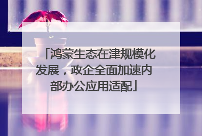 鸿蒙生态在津规模化发展，政企全面加速内部办公应用适配