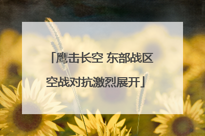 鹰击长空 东部战区空战对抗激烈展开