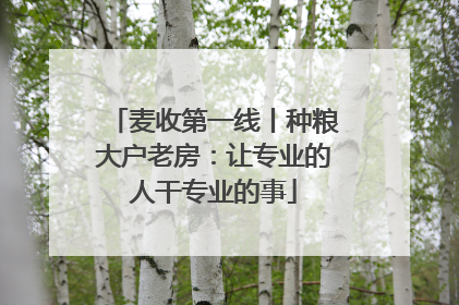 麦收第一线丨种粮大户老房：让专业的人干专业的事