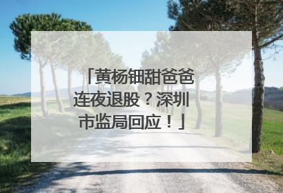 黄杨钿甜爸爸连夜退股？深圳市监局回应！
