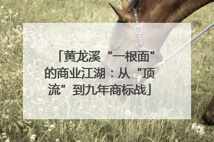 黄龙溪“一根面”的商业江湖：从“顶流”到九年商标战