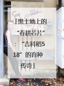 黑土地上的“春耕芯片”：“吉科稻518”的育种传奇