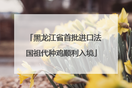 黑龙江省首批进口法国祖代种鸡顺利入境