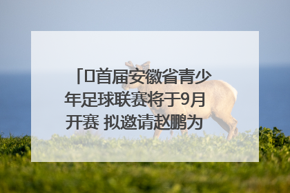 ﻿首届安徽省青少年足球联赛将于9月开赛 拟邀请赵鹏为先导赛开球