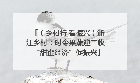 （乡村行·看振兴）浙江乡村：时令果蔬迎丰收 “甜蜜经济”促振兴