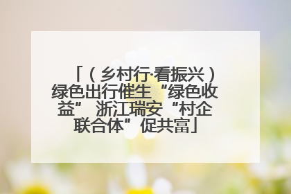 （乡村行·看振兴）绿色出行催生“绿色收益” 浙江瑞安“村企联合体”促共富