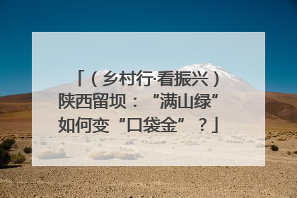 （乡村行·看振兴）陕西留坝：“满山绿”如何变“口袋金”？