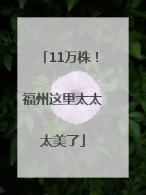 11万株！福州这里太太太美了