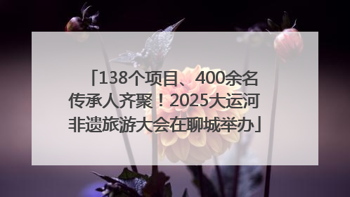 138个项目、400余名传承人齐聚！2025大运河非遗旅游大会在聊城举办