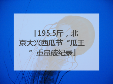 195.5斤，北京大兴西瓜节“瓜王”重量破纪录