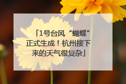 1号台风“蝴蝶”正式生成！杭州接下来的天气很复杂