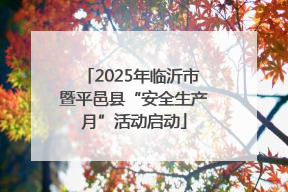 2025年临沂市暨平邑县“安全生产月”活动启动