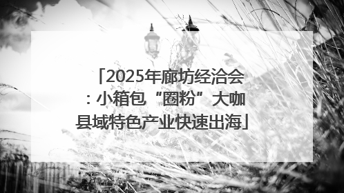 2025年廊坊经洽会：小箱包“圈粉”大咖 县域特色产业快速出海